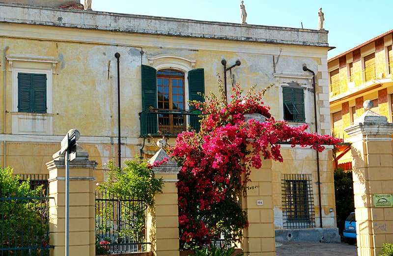 Blumen neben einem Haus in San Bartolomeo al Mare