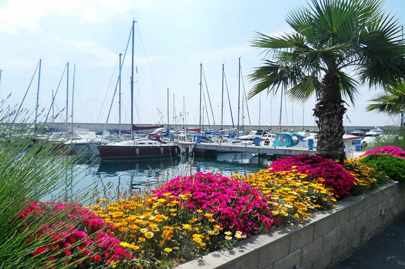 Bunte Blumen neben einem Hafen von San Lorenzo al Mare