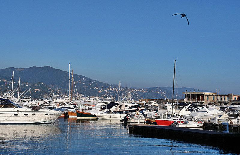 Hafen in Santa Margherita Ligure, Ligurien