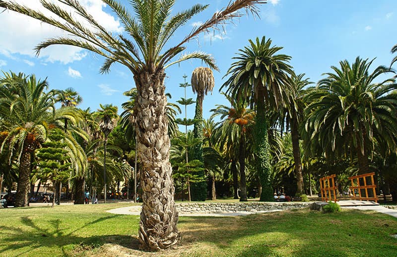 Ein Park mit Palmen im Stadtzentrum von Ventimiglia