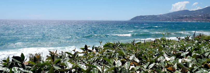 Blick aufs Meer und die ligurische Küste