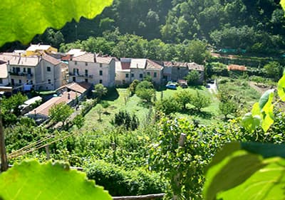 Weinbauern in Feglino, Ligurien