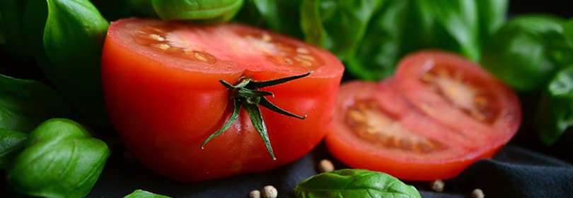 Tomaten und basilikum